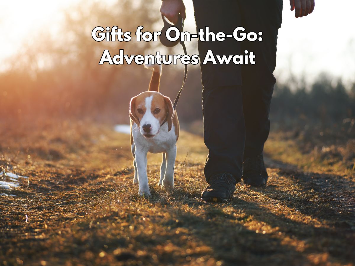 Dog owner gifts