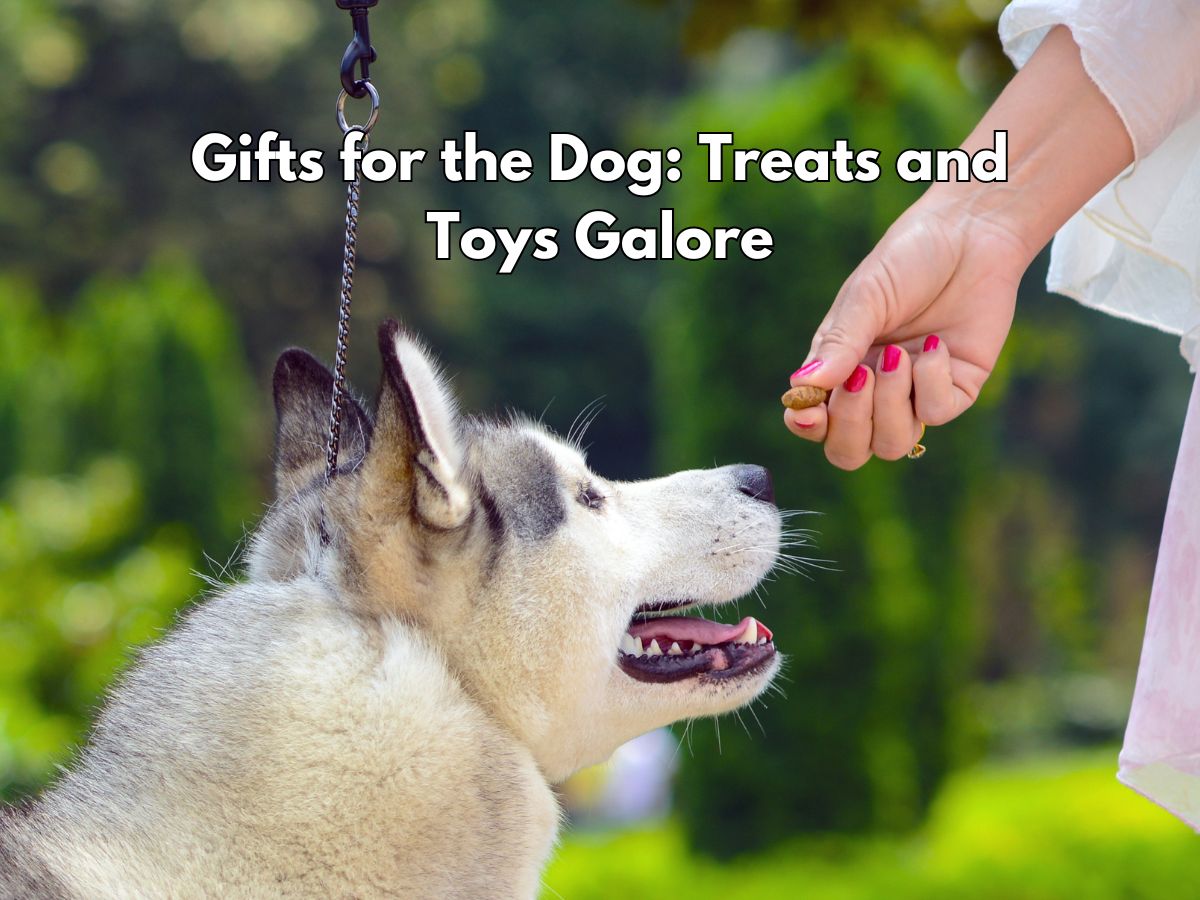 Dog owner gifts