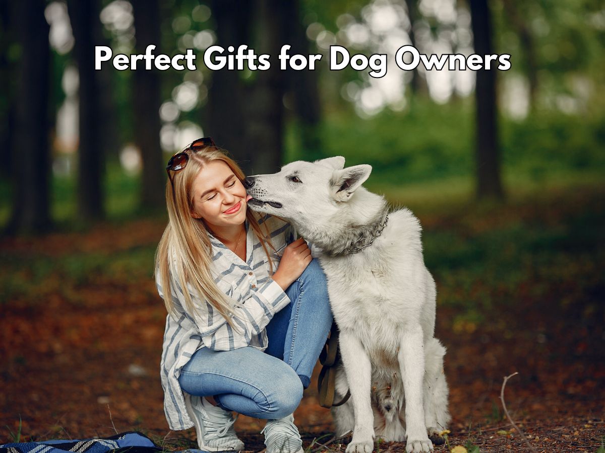 Dog owner gifts